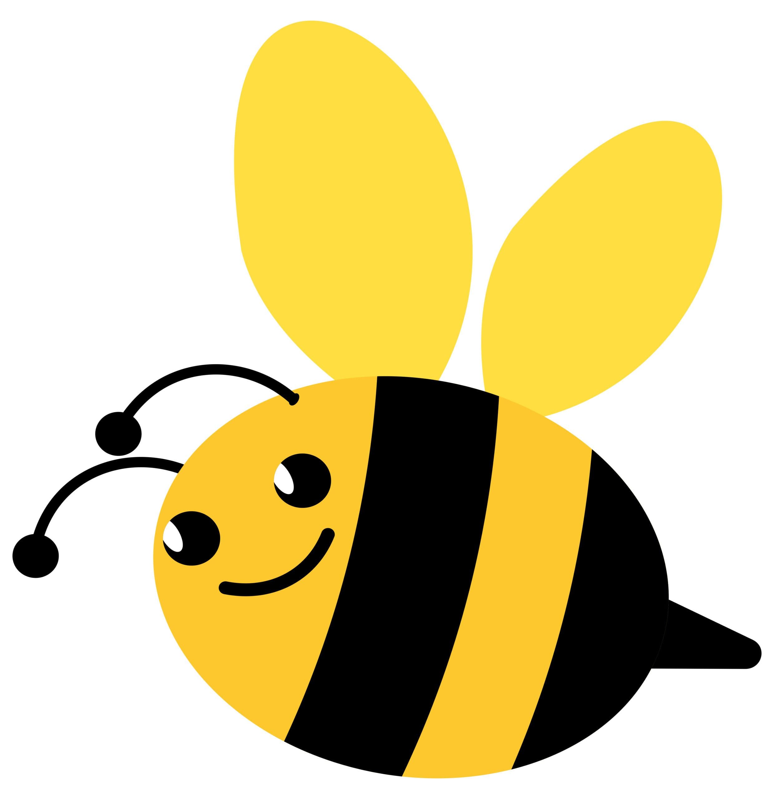 Big Bee Graphic